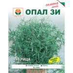 Чубрица сатурн