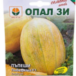 Победител Ф1 семена пъпеш