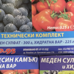 Бордолезов разтвор (син камък и хидратна вар)