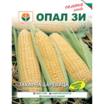 Елан Ф1 - семена захарна царевица