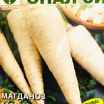 Коренов - семена магданози