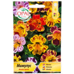 Мимулус
