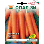 Нантес - семена моркови