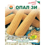 Пломик - семена царевица за пуканки