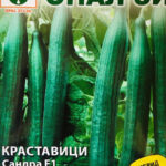 Сандра Ф1 - семена краставици