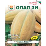 Хибрид Ф1 семена пъпеш
