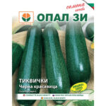 Черна красавица - семена тиквички