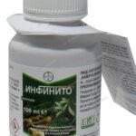 Инфинито СК